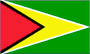 Guyana Flag