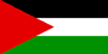 Palestine Flag